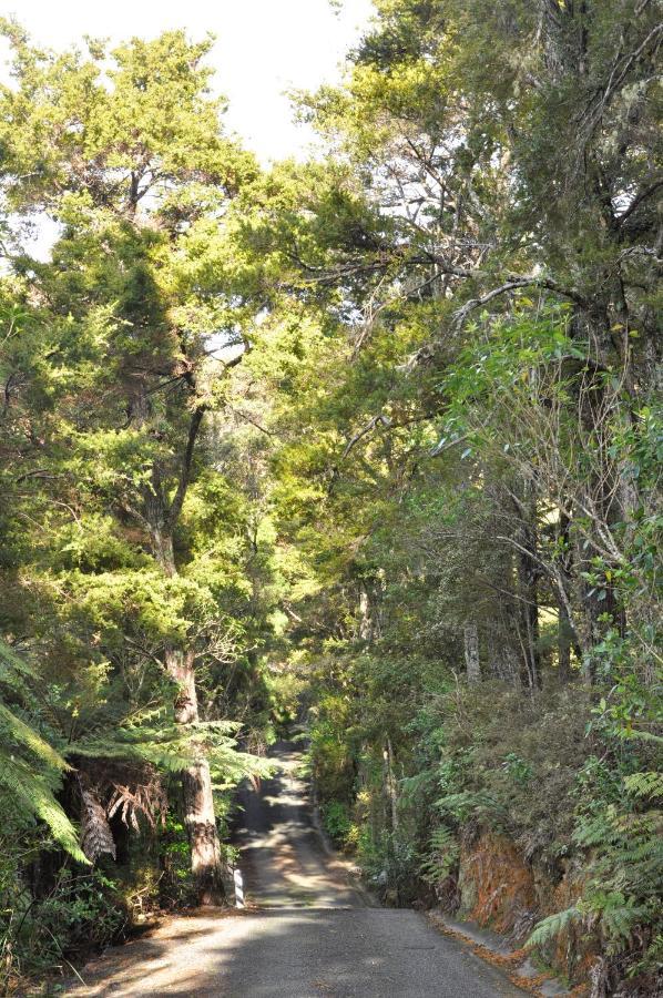 Matapouri & Tutukaka Spectacular Coastal Views- Aroha Luxury Guest Suite Exterior foto