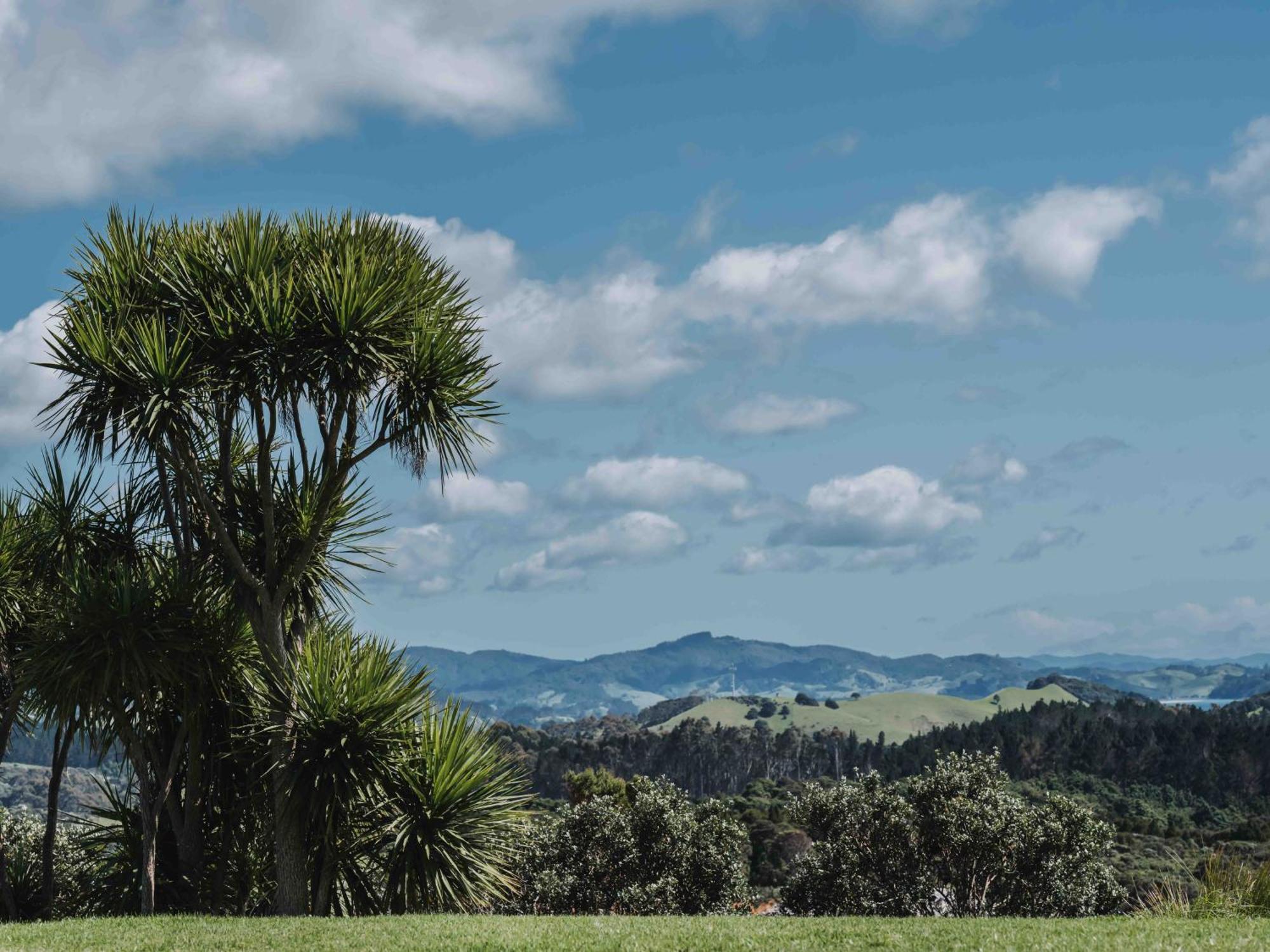 Matapouri & Tutukaka Spectacular Coastal Views- Aroha Luxury Guest Suite Exterior foto